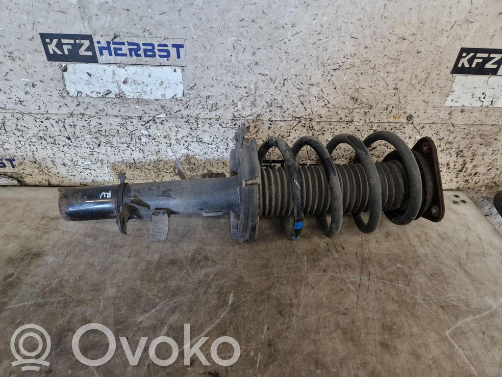 Ford Transit -  Tourneo Connect Amortyzator osi przedniej ze sprężyną 