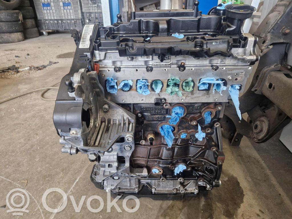 Volkswagen Golf VIII Motor 