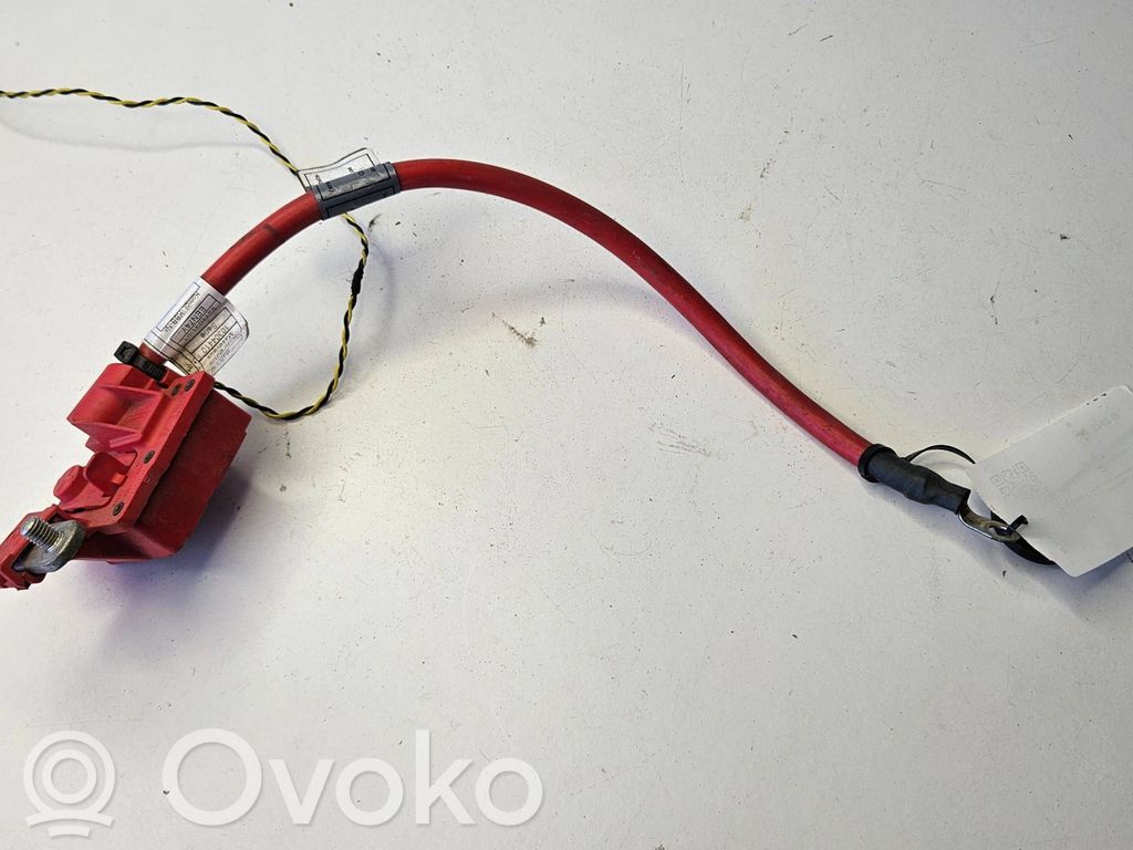 Pluskabel Batterie   9217030,EEV74Y
