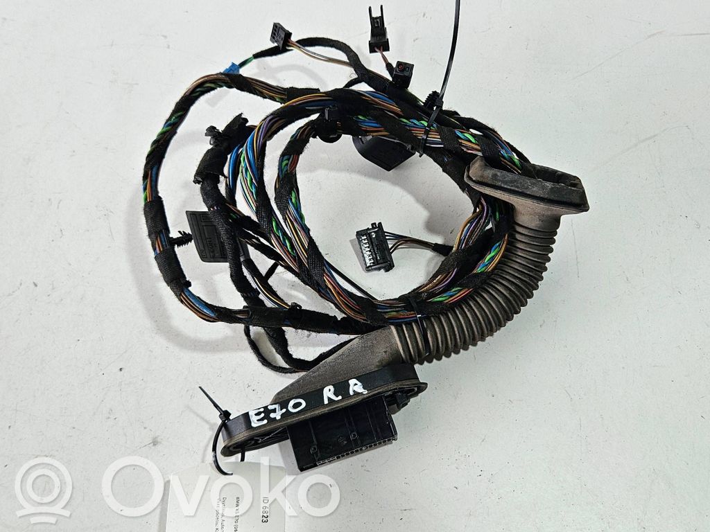 BMW X5 E70 Cableado de puerta trasera 