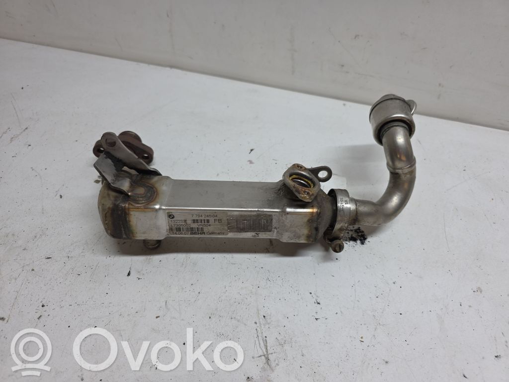 BMW 3 E90 E91 EGR aušintuvas 