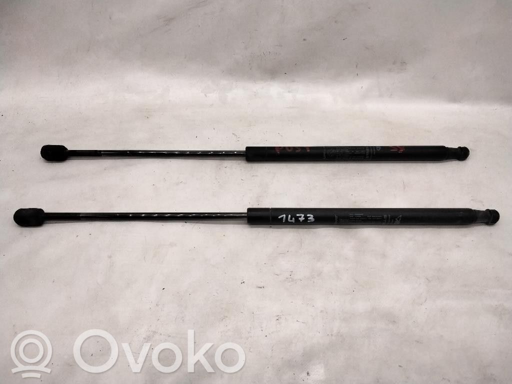 Fiat Bravo Tailgate/trunk strut/damper 