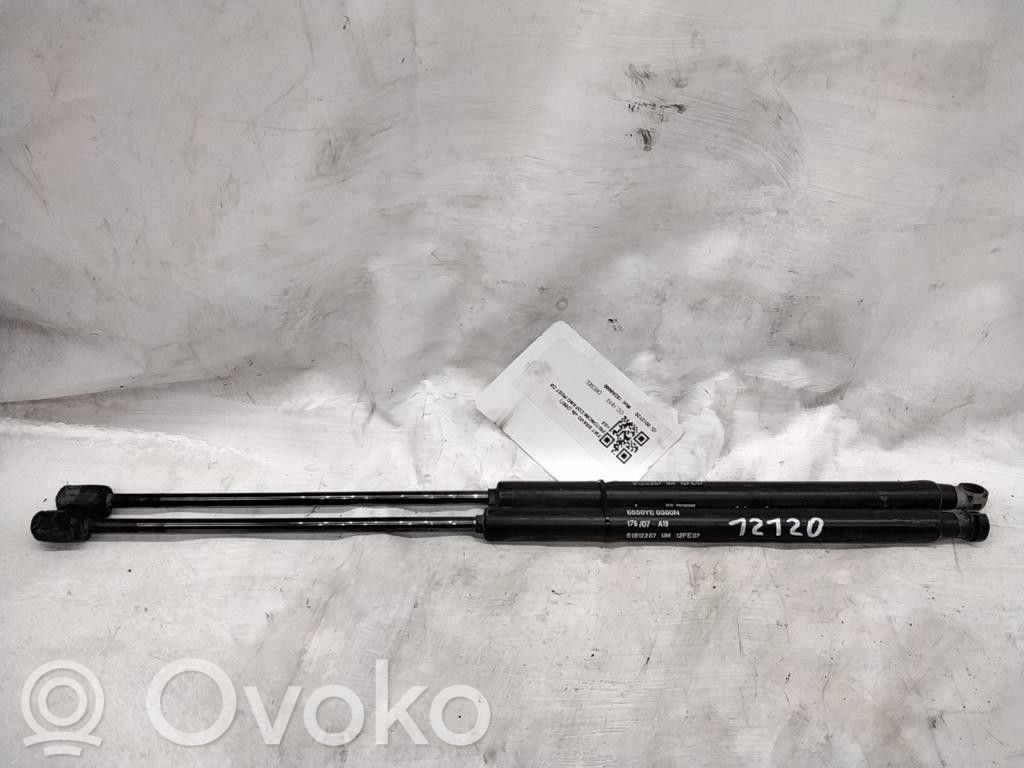 Fiat Bravo Tailgate/trunk strut/damper 