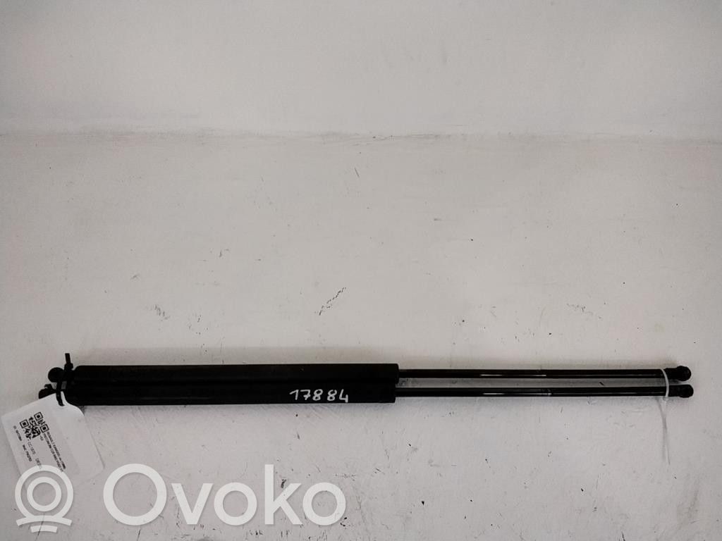 Renault Kangoo I Amortiguador/puntal del maletero/compartimento de carga 