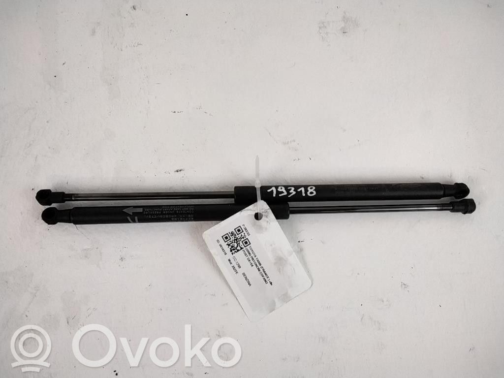 Toyota Yaris Tailgate/trunk strut/damper 