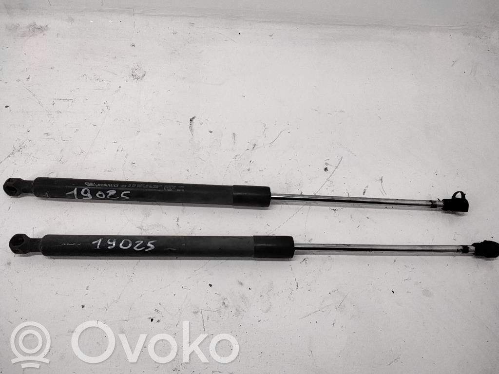 Renault Clio III Tailgate/trunk strut/damper 