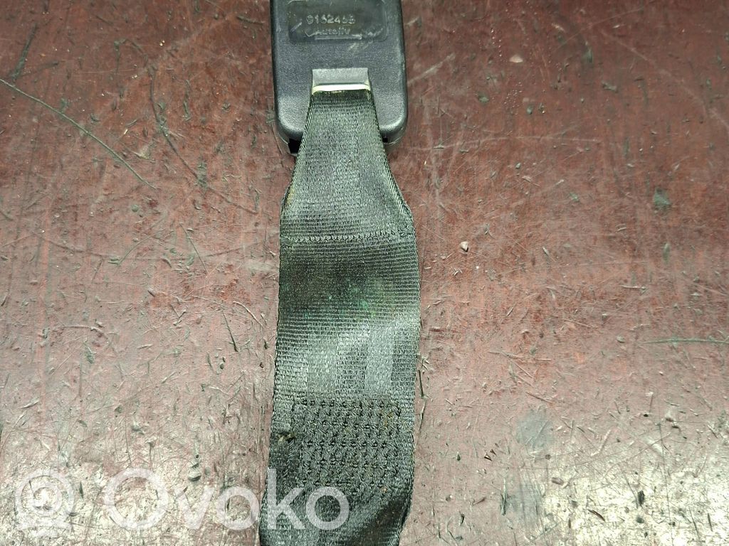 Klamra tylnego pasa bezpieczeństwa   9162468