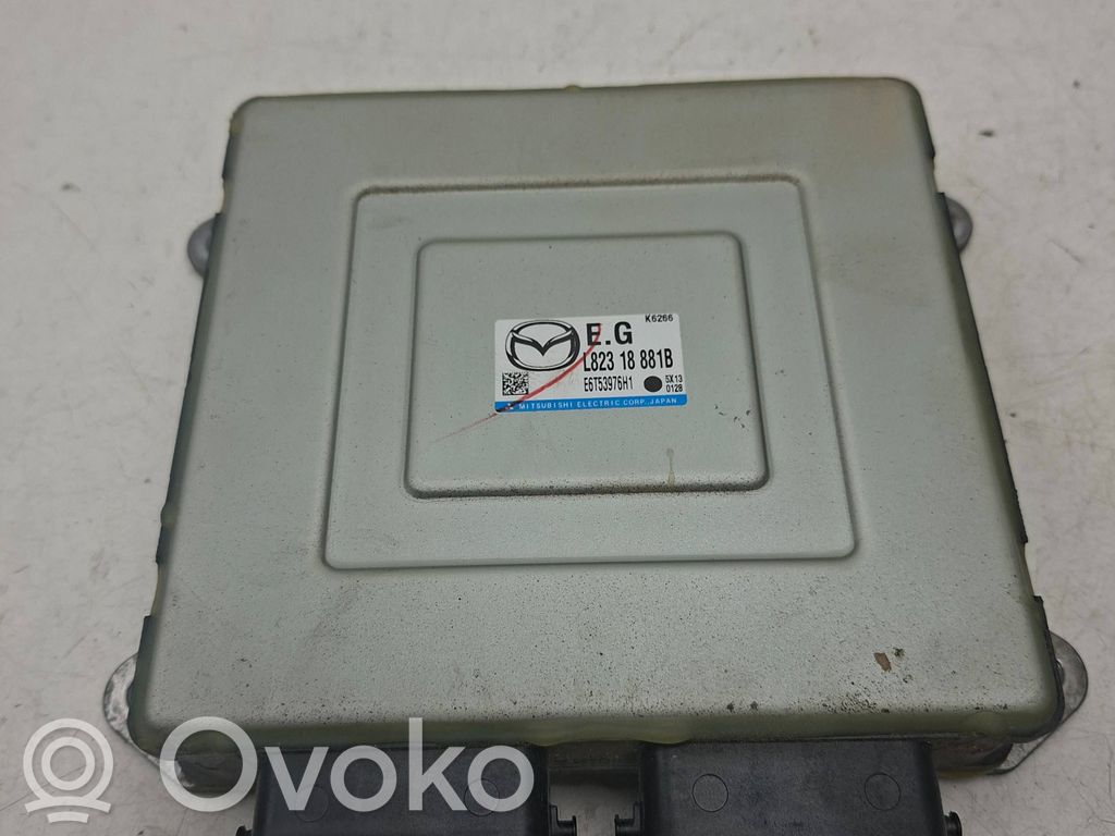 Engine control unit/module   L82318881B,E6T53976H1
