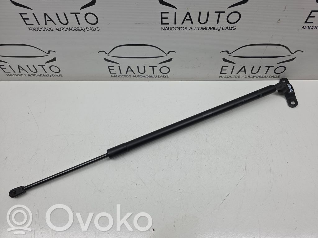Dodge Durango III Tailgate/trunk strut/damper 