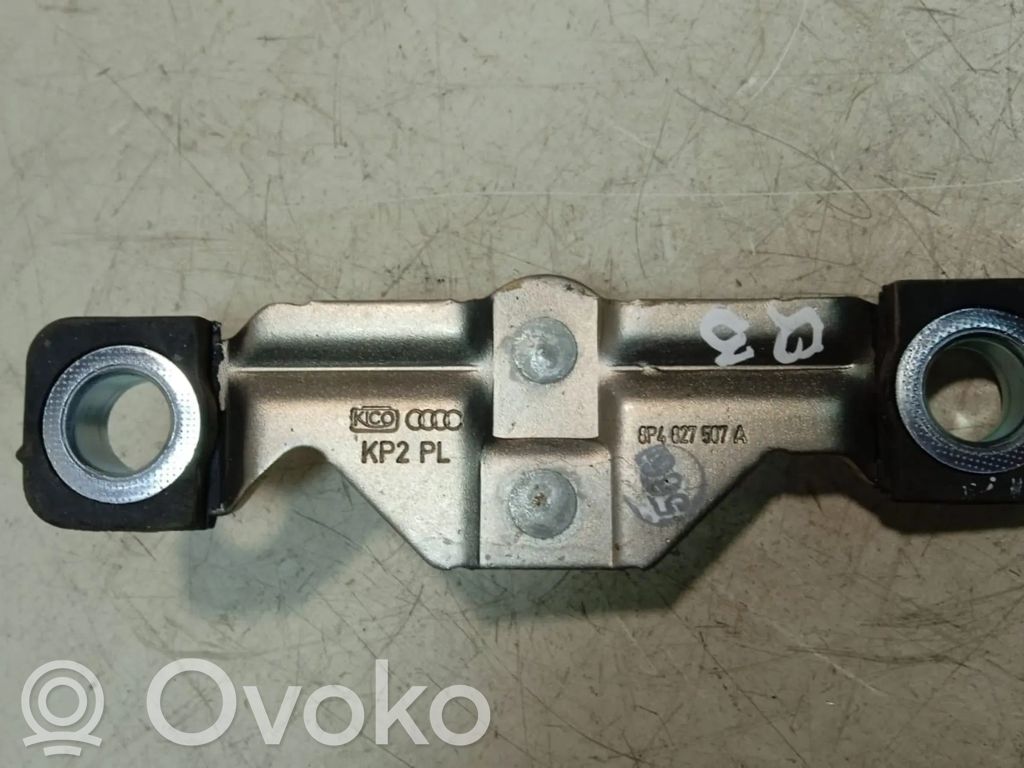 Loading door lock loop/hook striker   8P4827507A