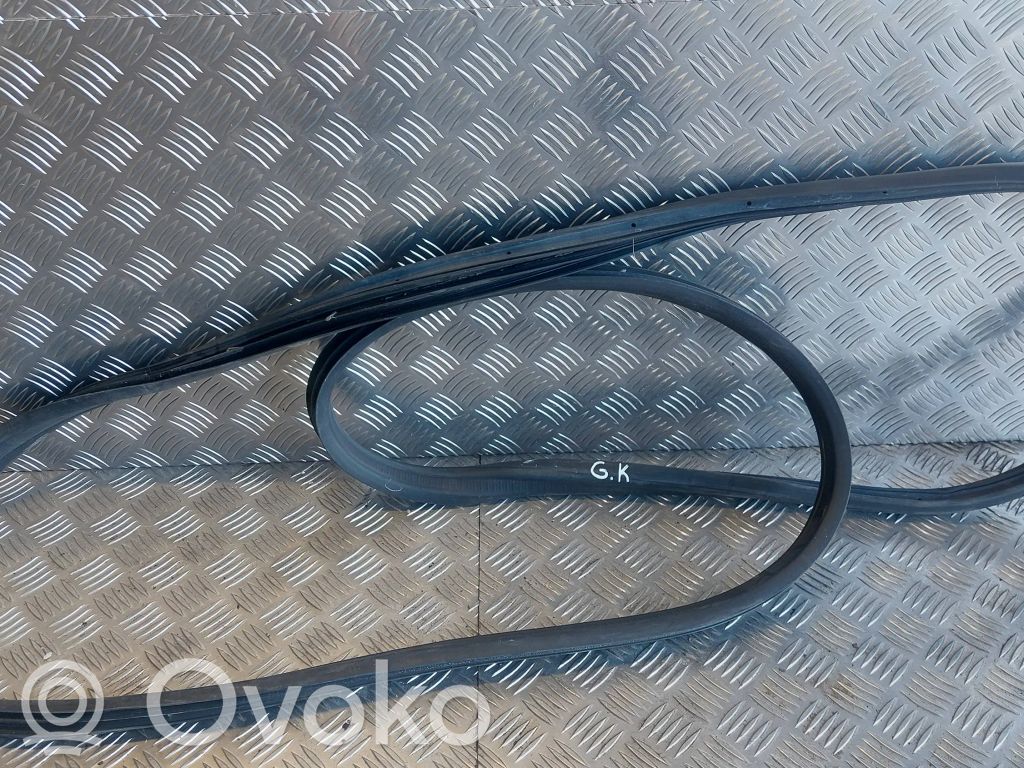 Ford Grand C-MAX Galinė sandarinimo guma (ant kėbulo) 