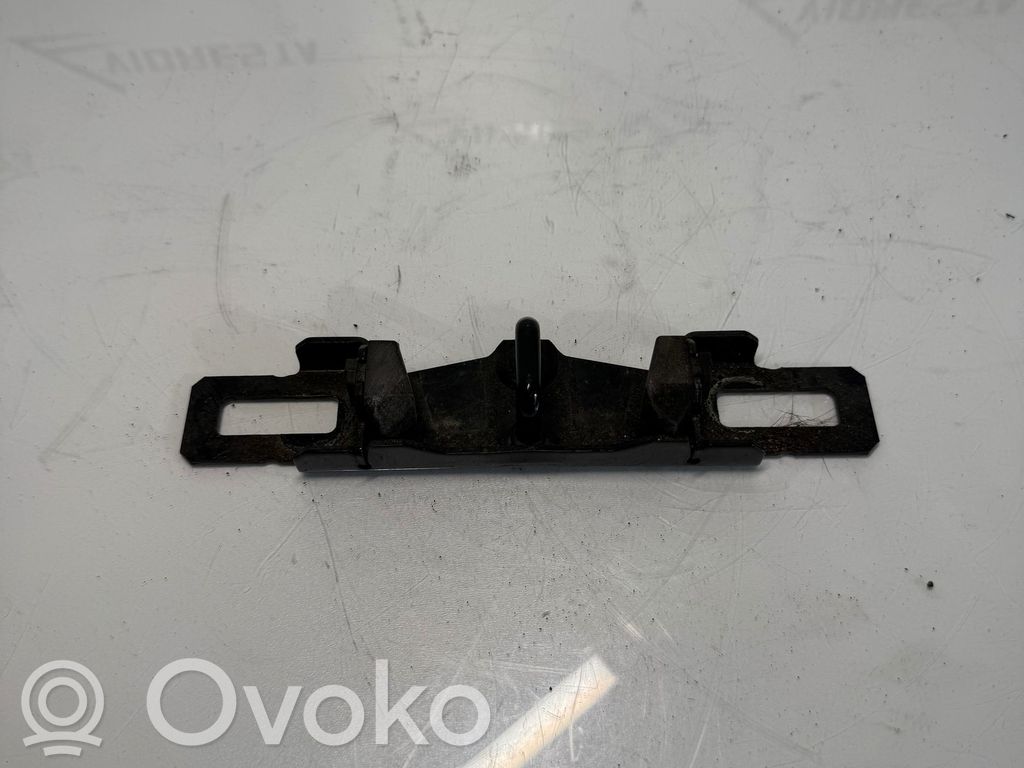Loading door lock loop/hook striker   31276686