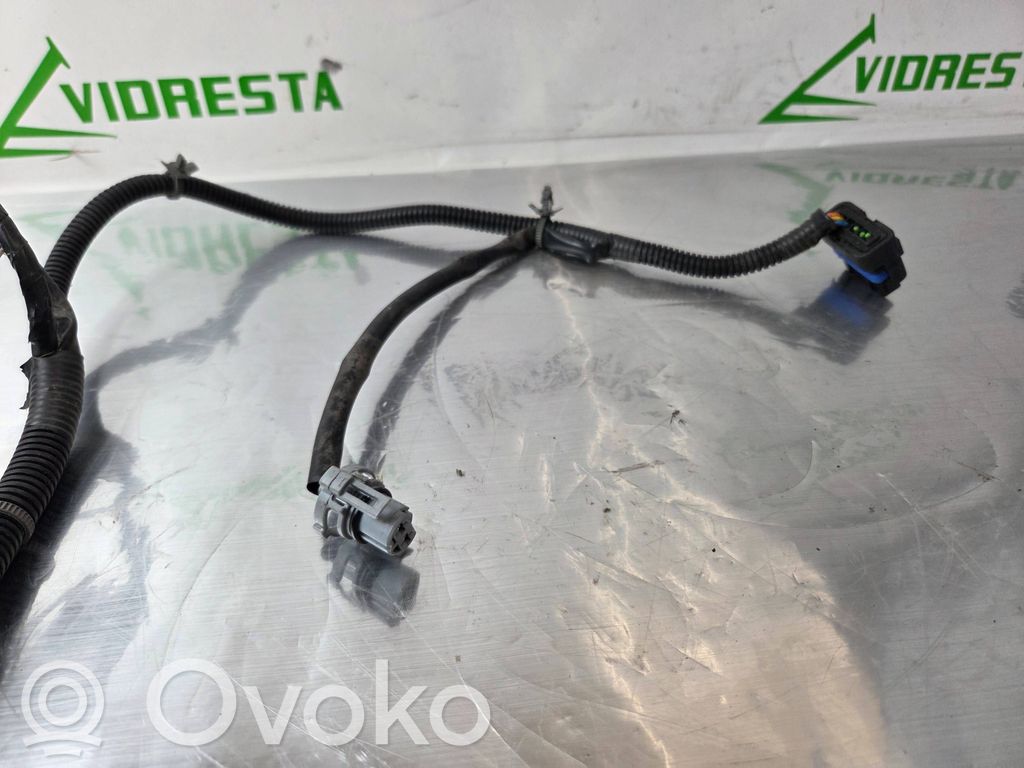 Cableado de puerta delantera   24124