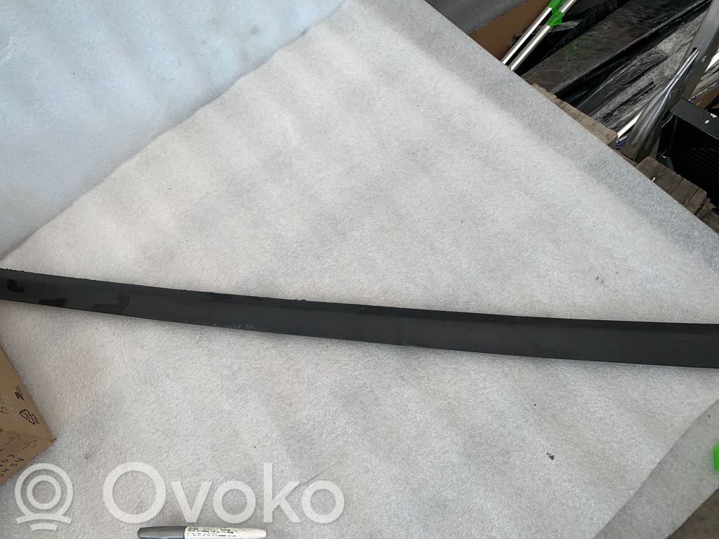 Volkswagen PASSAT B6 Rivestimento della portiera anteriore (modanatura) 