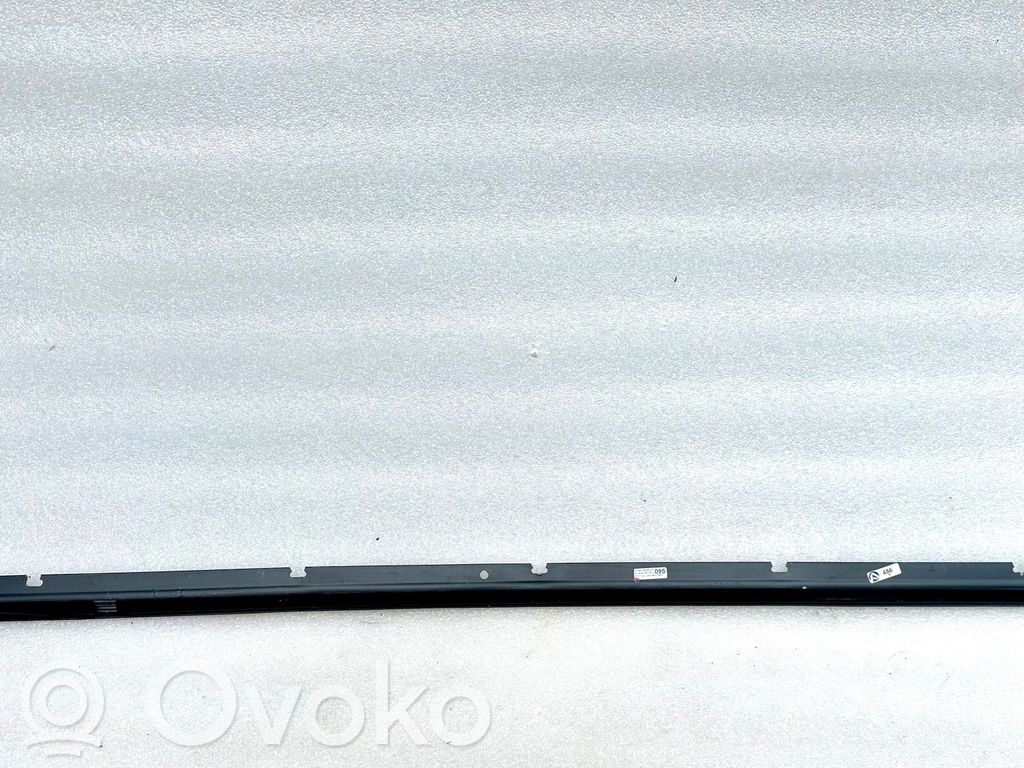 Audi A6 S6 C6 4F Puerta delantera 