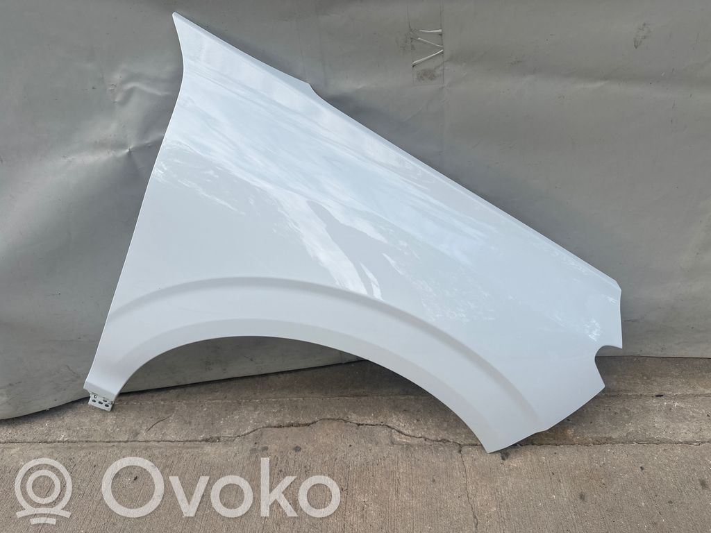 Błotnik przedni   558821106