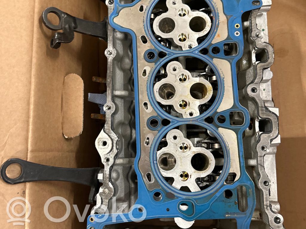 Porsche Cayenne (9Y0 9Y3) Engine head 