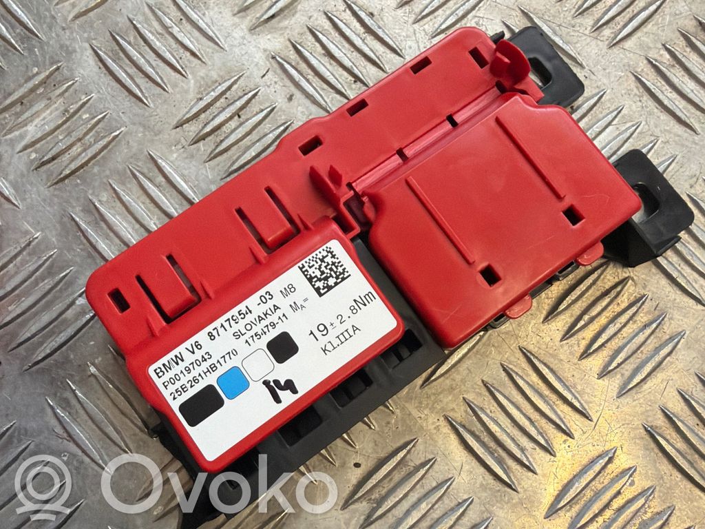 BMW i4 Positive wiring loom 