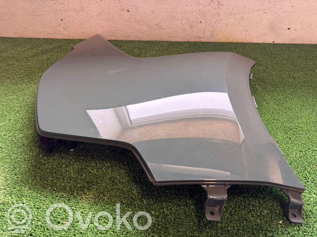 KIA Niro Guardabarro 