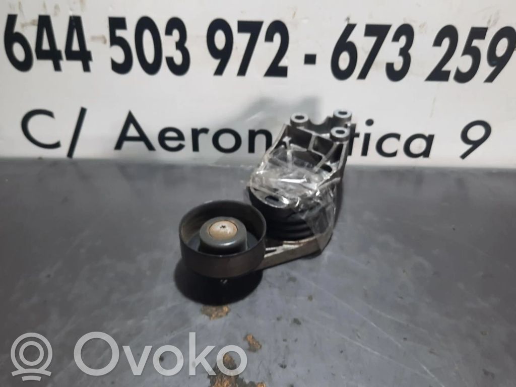 Seat Ibiza III (6L) Întinzător curea generator/alternator 