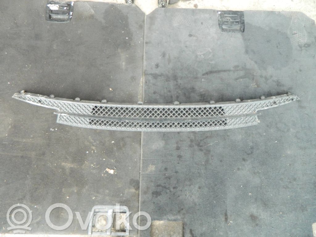 BMW 1 E81 E87 Front bumper lower grill 