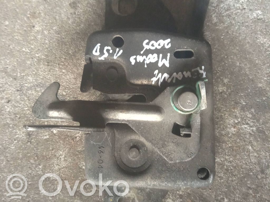 Spyna variklio dangčio   257616