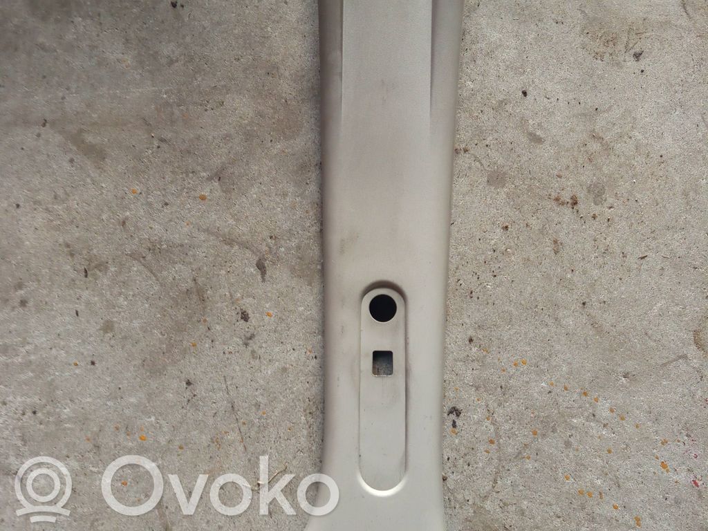 Trim molding   8200213656,487000