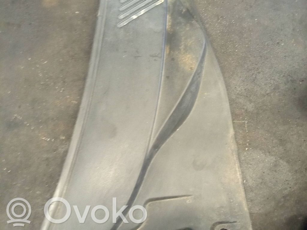 Renault Clio II Kita išorės detalė 