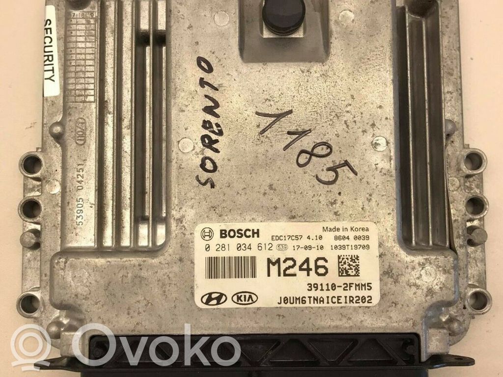 Engine control unit/module   0281034612,391102FMM5,JOUM6TNAICEIR202