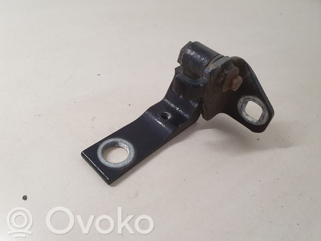 Rear door lower hinge