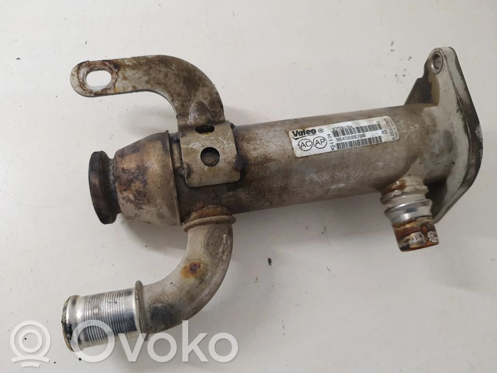 Peugeot Expert EGR valve cooler 