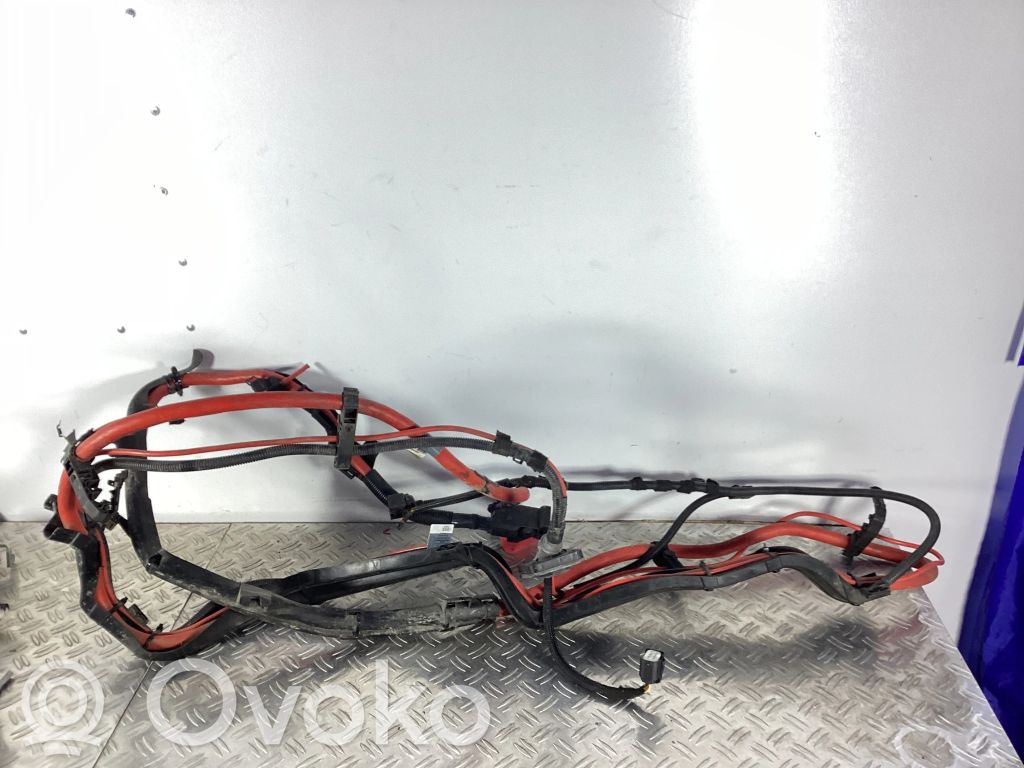 Plusa vads (akumulatora)   9154714,6941820