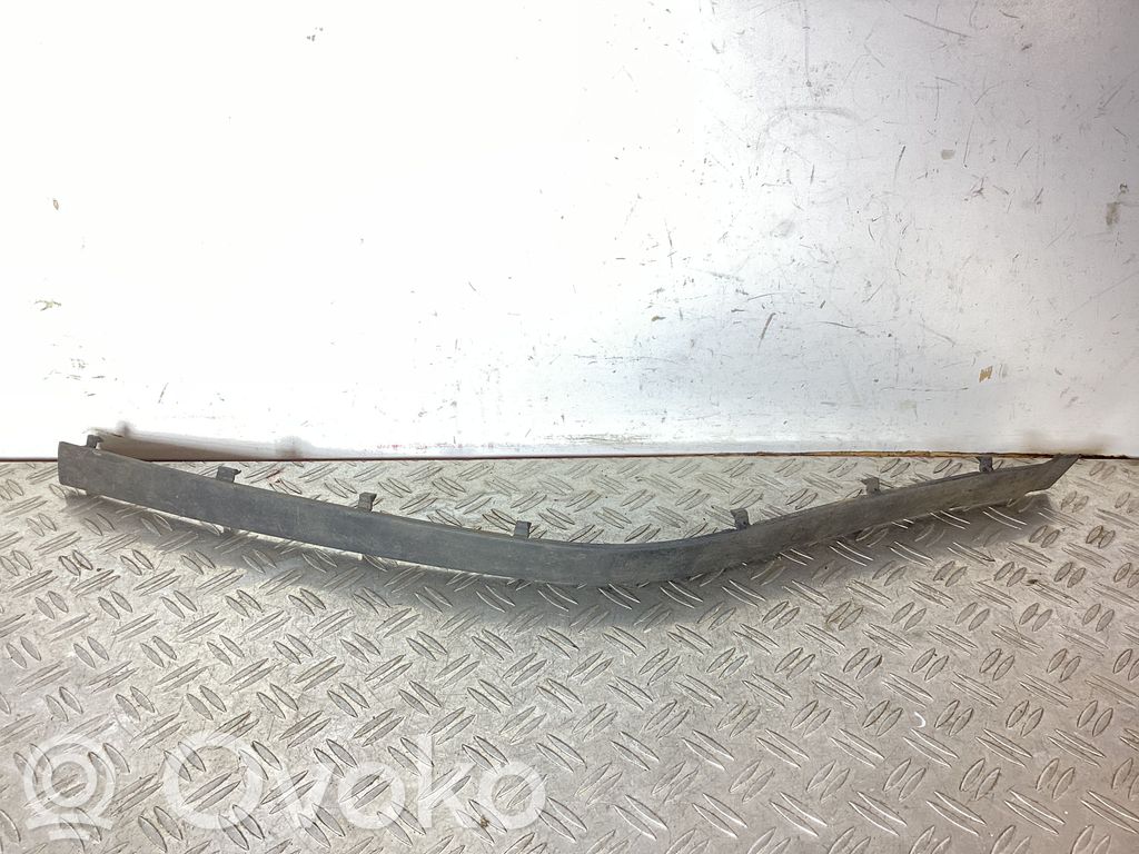 BMW 5 E39 Priekšpusē dekoratīva bampera uzlikas 