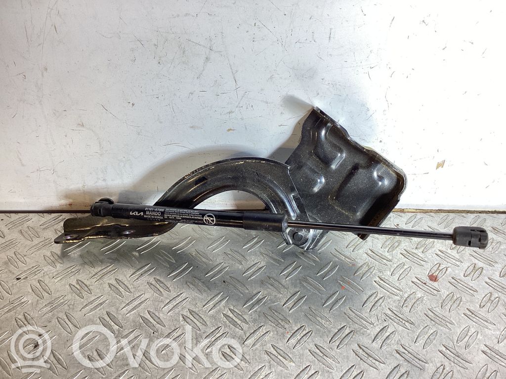 KIA Niro Engine bonnet/hood hinges 