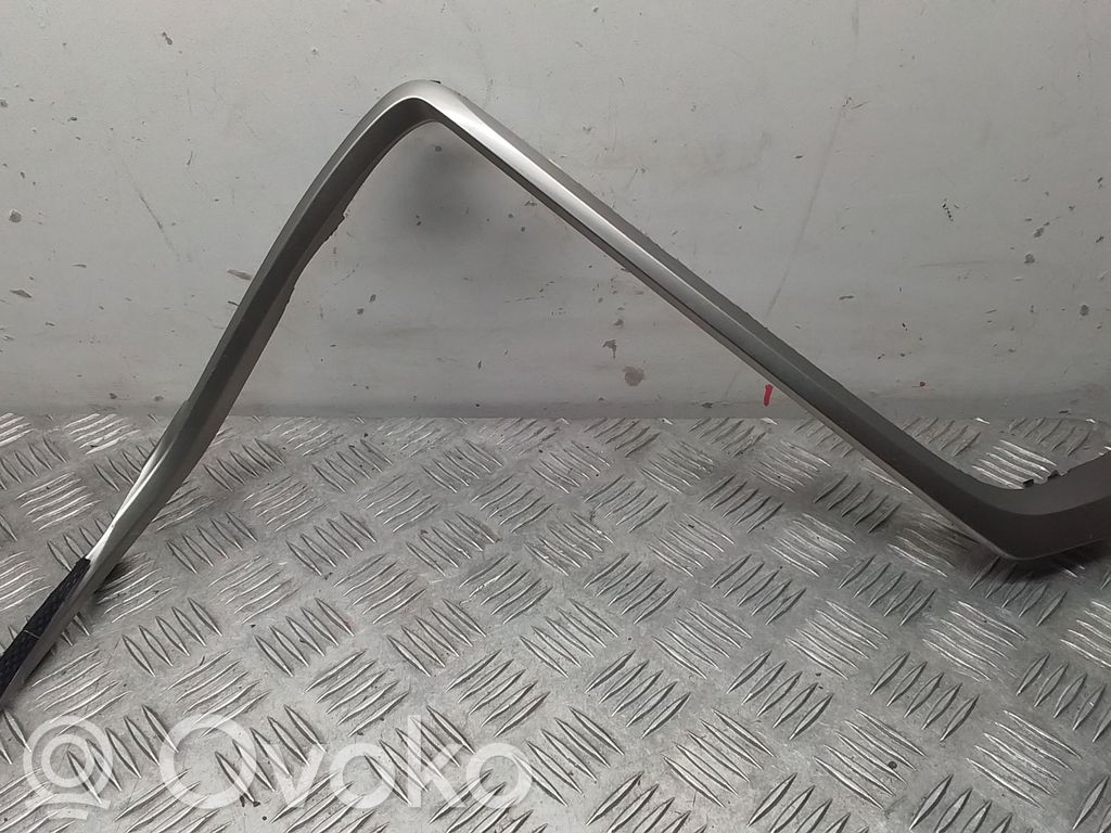 Panel trim   5547148050