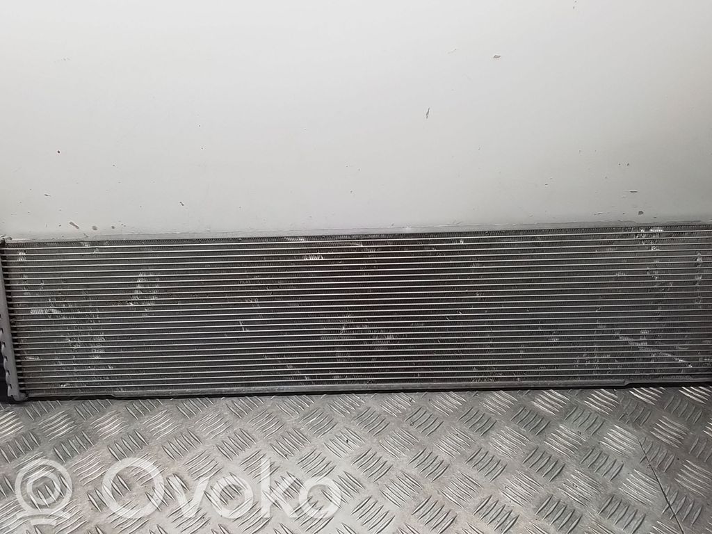 Tesla Model S Aušinimo skysčio radiatorius 