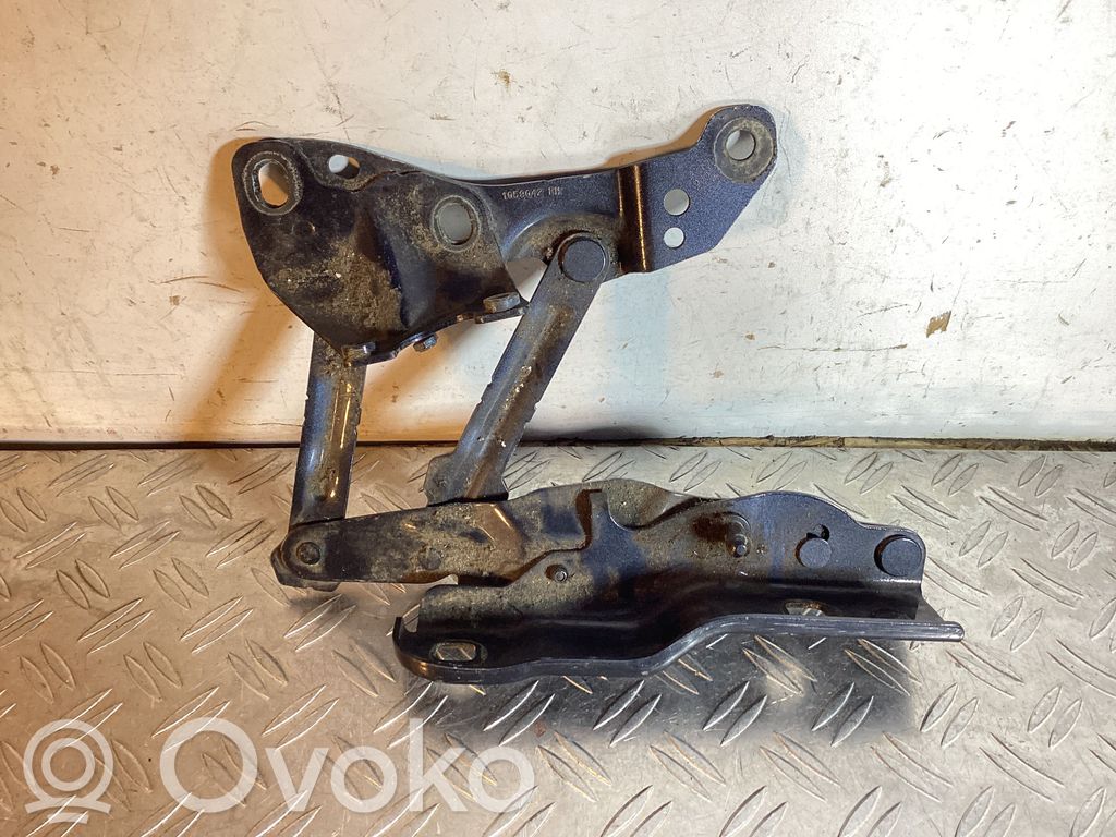 Tesla Model S Engine bonnet/hood hinges 