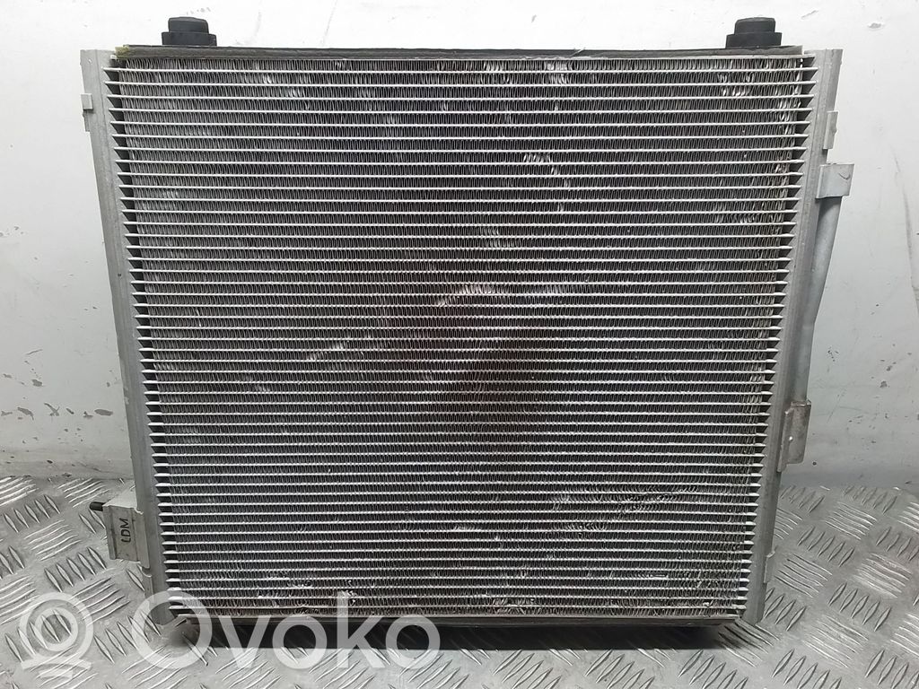 Tesla Model S Radiator set 