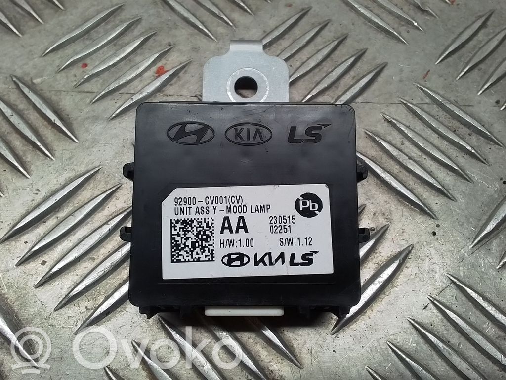 Modulo luce LCM   92900CV001