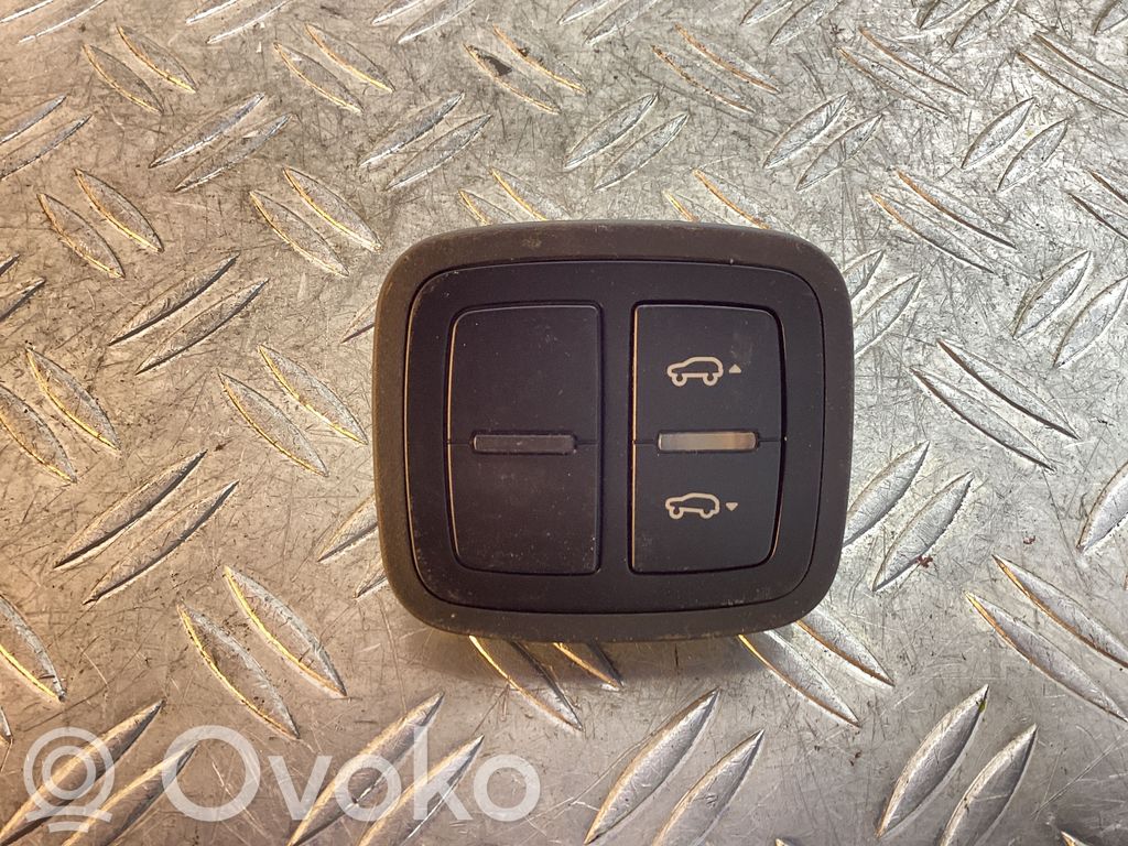 Tailgate opening switch   95B959511B