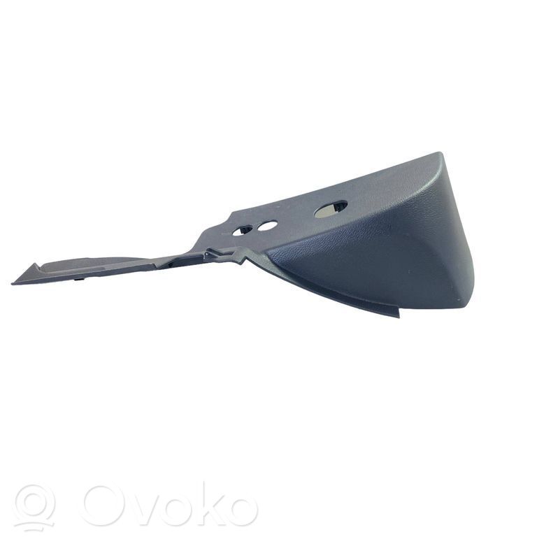 Dodge RAM Kita salono detalė 
