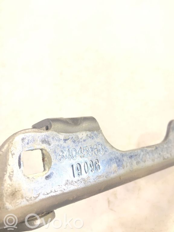 Tailgate/trunk/boot hinge   84045963