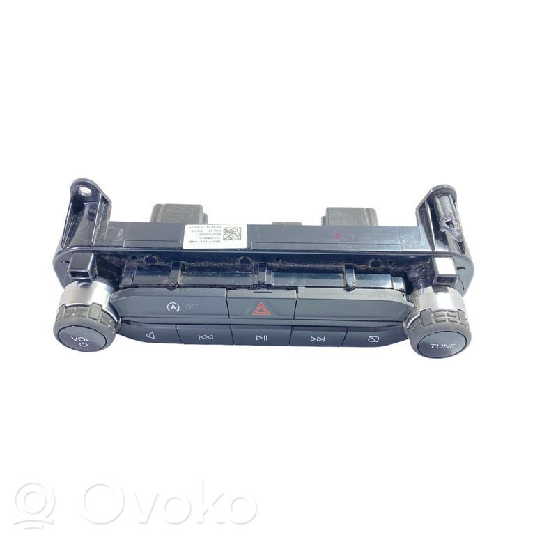 Ford Bronco Head unit multimedia control 