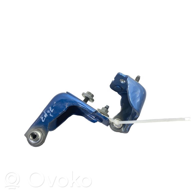 Ford Edge II Rear door hinge set 