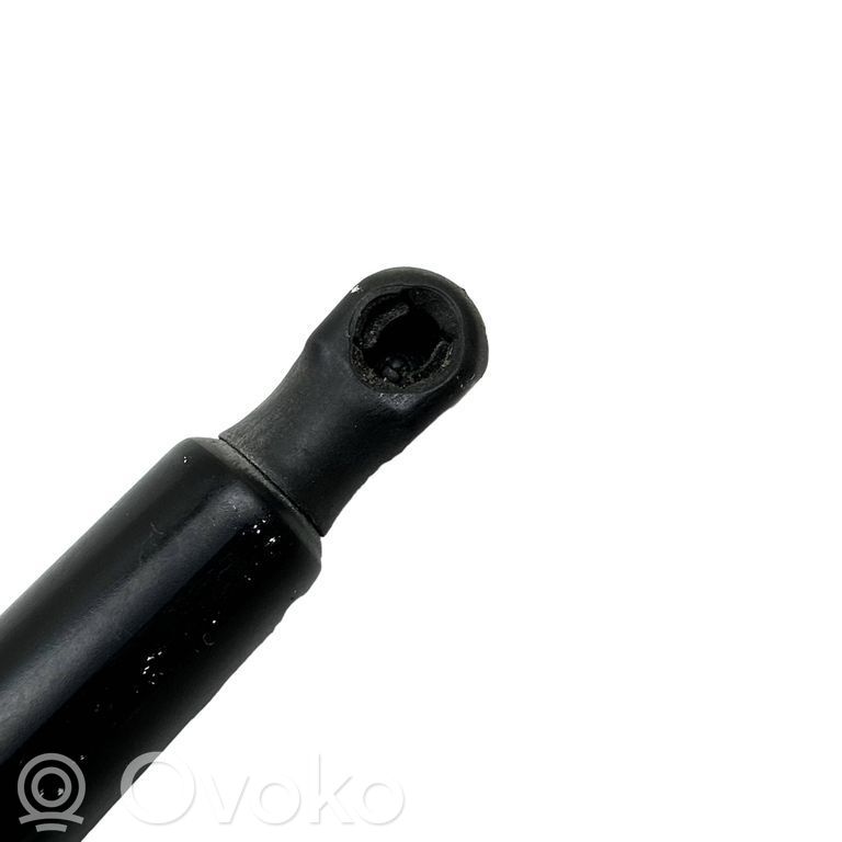 Chrysler Pacifica Tailgate/trunk strut/damper 