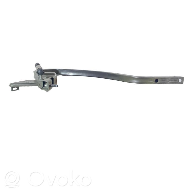 Dodge Charger Tailgate/trunk/boot hinge 