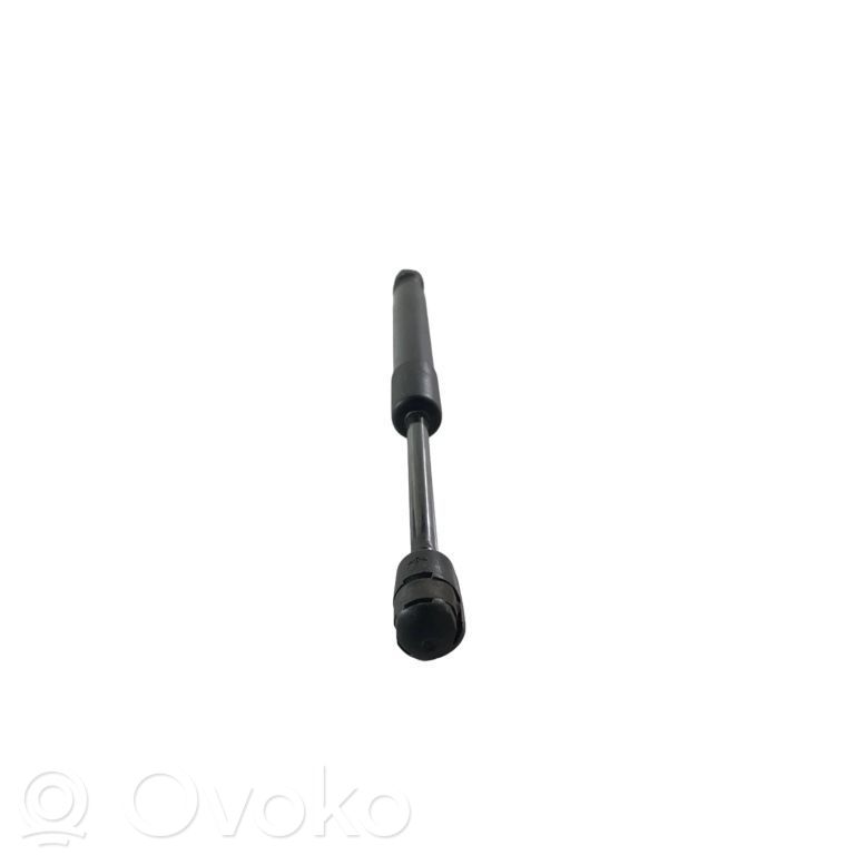 Ford Mustang V Tailgate/trunk strut/damper 