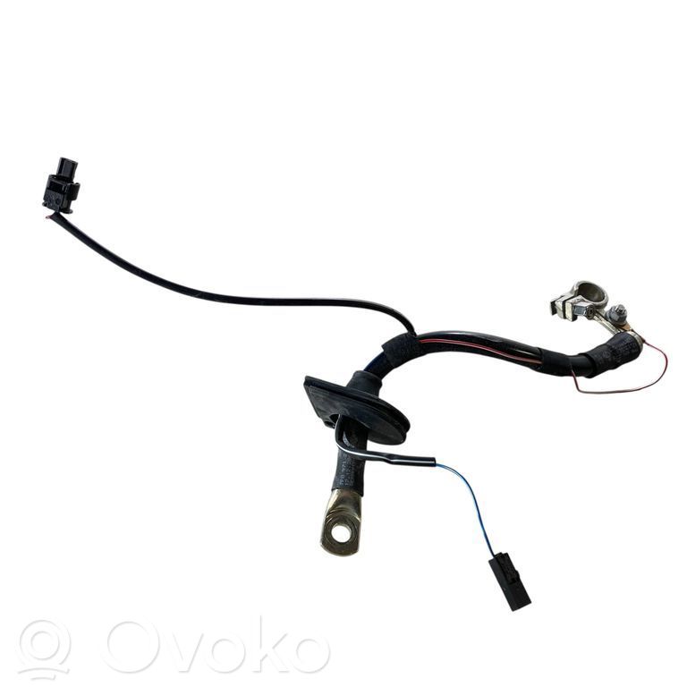 Porsche Cayenne (92A) Cable positivo (batería) 