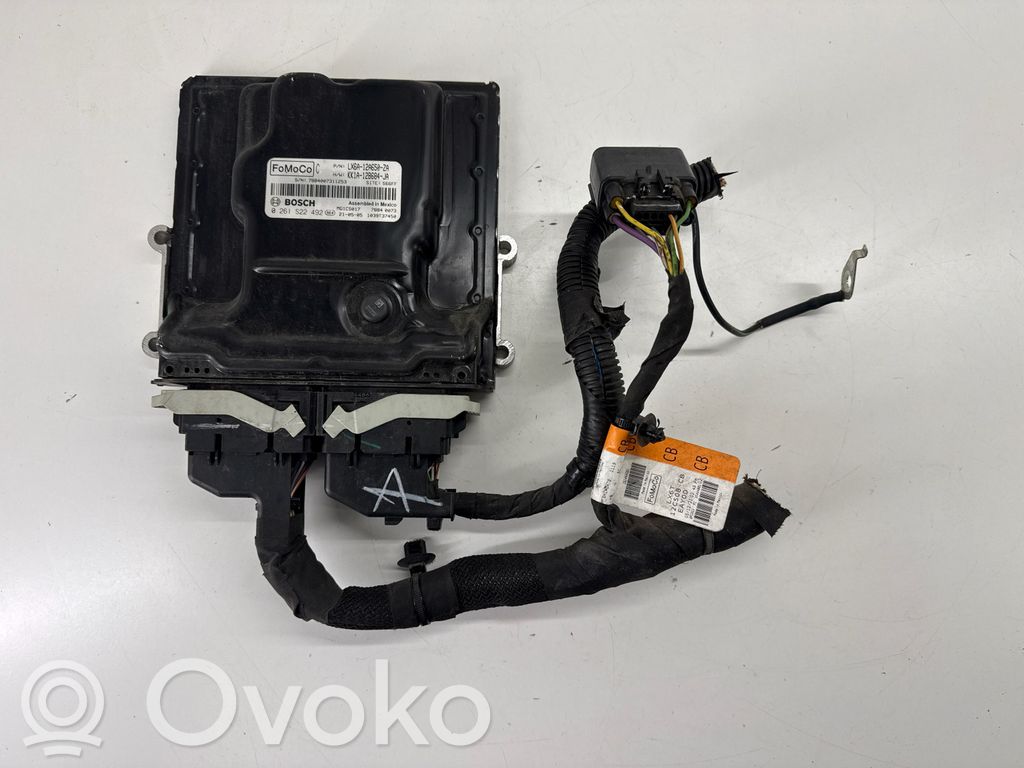 Ford Bronco Engine control unit/module 