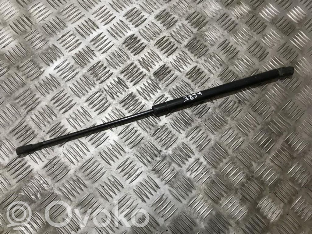 Tailgate/trunk strut/damper